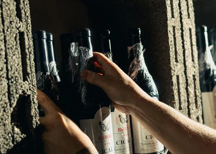 Casa Regina, Position! 아파트 *